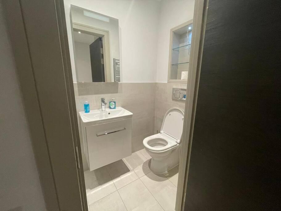 Monthly Stays 1Bed Serviced Studio Apartment Free Wifi & Netflix Whitechapel London Perfect For Solo & Coupled Guests 외부 사진