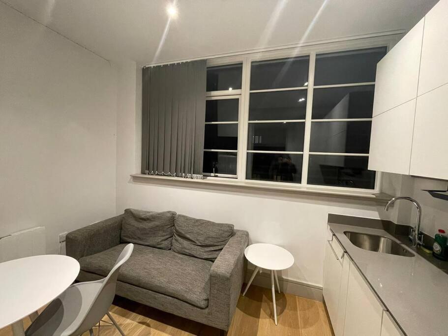 Monthly Stays 1Bed Serviced Studio Apartment Free Wifi & Netflix Whitechapel London Perfect For Solo & Coupled Guests 외부 사진